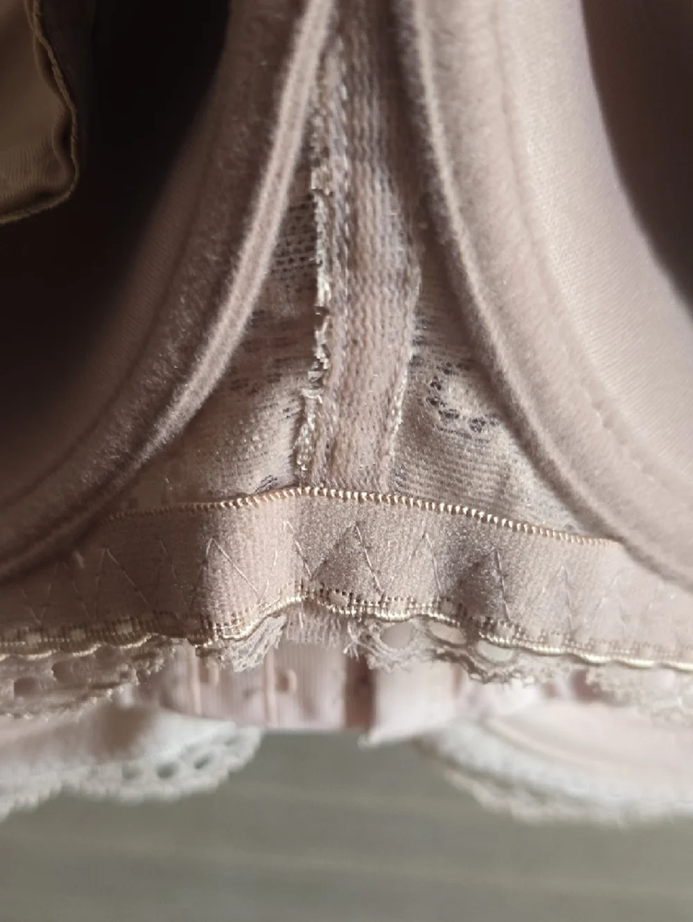 Rene Rofe Lace Lightly Padded Bra in Blush - Picture 12 of 16